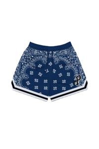 Pantalones cortos de malla personalizados Eric 5,5 "logotipo cosido con costuras Paisley Mesh - Product Image 4