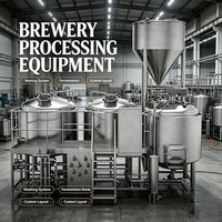 Équipement de brassage commercial de 3000 L, équipement de fermentation de bière, cuve de fermentation sous pression, réservoir de brasserie, garantie de 4 ans