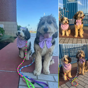 Guinzaglio personalizzato colorato impermeabile cane con perline per cani in PVC morbido Pet guinzaglio Set fascino all'ingrosso - Product Image 6