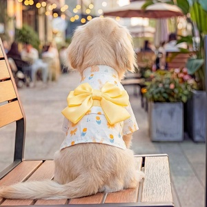 Robe d'été élégante et abordable pour animaux de compagnie (chats et chiens) avec nœud papillon – Vente en gros - Product Image 2