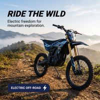 15% de réduction sur le vélo électrique tout-terrain Altis Sigma à couple élevé avec batterie de 3,4 kWh, charge en 3h, freins hydrauliques à 5 niveaux, course