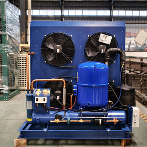 Unités de condensation à vis de 3 CV, 5 CV, 10 CV, 12 CV, 30 CV, 50 CV, type 5 tonnes, avec serpentin de condenseur et unité de traitement d'air pour compresseur de chambre froide - Product Image 4