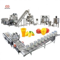 Ligne de production industrielle pour la fabrication de purée, de confiture et de jus de mangue