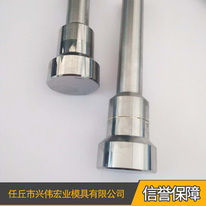 Piezas de Carburo Cementado Daido para Moldes, Troqueles de Estampado, Accesorios para Autopartes - Product Image 4