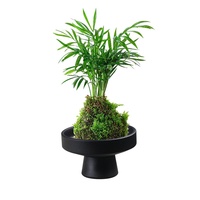 Pot Bunga Keramik Gaya Cina June Snow Bamboo Acorus Ball, Minimalis Vintage Zen, Motif Pedang Gunung, untuk Ruang Tamu dan Meja