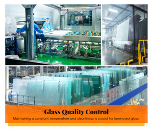 Phía Trước Trục Sắt Cách Mạng Cửa Thép Nhôm Thiết Kế Đồ Họa Một Cách Cửa Kính Bên Ngoài Chất Lượng Cao Hiện Đại Cửa - Product Image 5