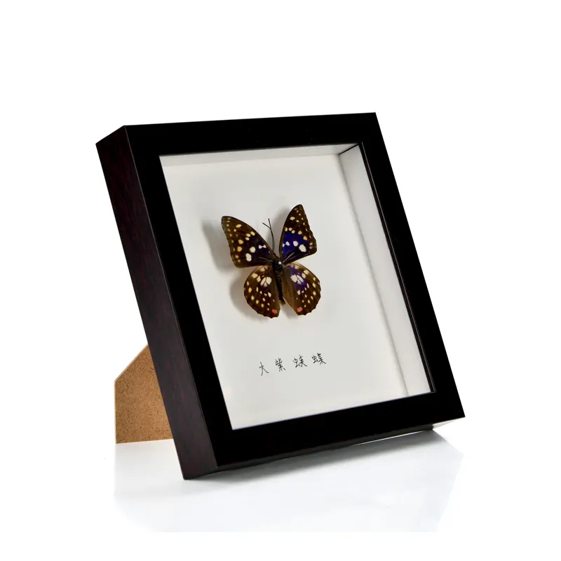 De alta calidad caja de sombra para hecho a mano flores DIY espécimen de insecto mariposa