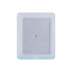 肩肩肩肩肩肩ハーブ痛み緩和パッチプラスター - Product Image 1