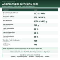 Film de serre à diffusion lumineuse 65 %, 5 mil, résistant aux UV, anti-vieillissement, anti-buée, anti-goutte, couverture PE co-extrudée 5 couches