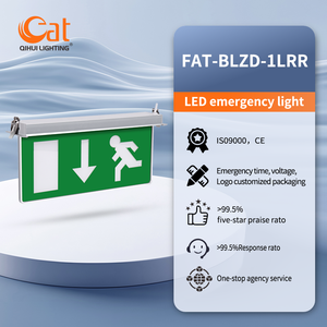Luz <span class=keywords><strong>de</strong></span> Señalización <span class=keywords><strong>de</strong></span> Salida <span class=keywords><strong>de</strong></span> Emergencia Automática IP30 para Montaje en Pared, con Alimentación <span class=keywords><strong>de</strong></span> Emergencia para Cortes <span class=keywords><strong>de</strong></span> Energía, Venta al por Mayor - Product Image 2