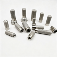 Penutup Pelindung Sensor Kelembaban Tanah Tahan Air, Sensor Filter Pipa Bubuk Logam Stainless Steel