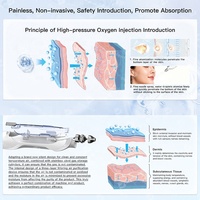 Appareil de soin du visage NewFace CE, massage lymphatique, exfoliation douce, infusion efficace, infusion intensive, injection d'oxygène, jet d'oxygène, Hydra