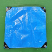 Bâche d'agriculture extérieure imperméable, respirante et légère en PE tissé 100% enduit, bleu orange
