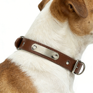 <span class=keywords><strong>Collar</strong></span> de Perro Ajustable de Cuero PU Barato con Logotipo Personalizado al por Mayor - Product Image 4