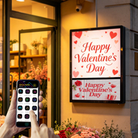 Panneau LED programmable et enroulable DIY 25,39x14,33 pouces, contrôle par application, RGB, IP65, défilement pour vitrine de magasin, marché nocturne