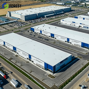 Grand hangar industriel préfabriqué en acier à grande portée, pour hôpitaux, appartements et entrepôts à voûtes hautes - Product Image 1