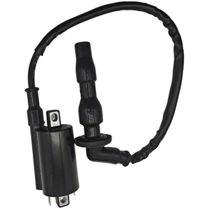 Bobine d'allumage Jilong 3189 monocylindre pour pièces de moto Everest Kaiyue 500X - Product Image 3