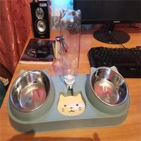 Gamelle pour animaux de compagnie 3-en-1 avec fontaine à eau, double gamelle surélevée pour chats