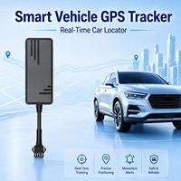 Rastreador GPS con Alerta de Exceso de Velocidad, WiFi 2G 4G, Aplicación para PC y Android, Posicionamiento LBS, 1 Año de Garantía, Seguridad para Automóviles, Historial de Navegación