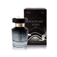 Diffuseur d'arômes liquide pour voiture, hôtel, plâtre, parfum longue durée, huile essentielle, élimination des odeurs, naturel
