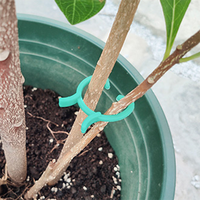 Clips de fixation pour plantes en plastique, crochets pour tiges de plantes, pour la plantation de graines en serre de pépinière, pour les vignes et les légumes