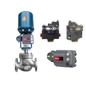 Vanne de commande d'étranglement avec amplificateur de volume Fisher 2625 et contrôleur de vanne numérique DVC6200 - Product Image 2