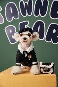 Gorros Divertidos para Perros con Forma de Boina, Accesorio de Moda para Mascotas de Invierno con Estampado Animal para Primavera o Halloween, Gorro Decorativo para Gatos - Product Image 4