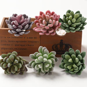 <span class=keywords><strong>Simulation</strong></span> créative de plantes succulentes, petite plante artificielle réaliste, fleurs en plastique, naturelles et <span class=keywords><strong>frais</strong></span>, pour décorations, pièces - Product Image 6