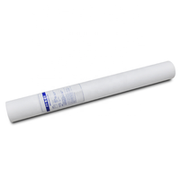 Filtre en PP soufflé à chaud 5 microns 10 20 pouces Cartouche filtrante à sédiments pour systèmes RO