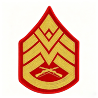 Écussons en tissu brodés sur mesure, broderie chevron, accessoires pour uniformes, badges avec logo personnalisé, meilleur service OEM