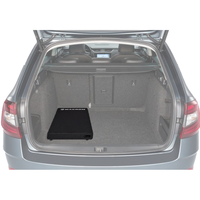 Subwoofer para Auto SW250A de Doble Bobina, 12V/24V DC, Cono de Papel, para Sistemas de Audio y Altavoces para Auto