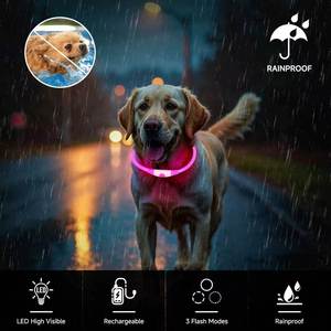 Multi-Color USB Rechargeable <b>LED</b> <b>Light</b> up Dog Collar TPU Cuttable Size Night Anti-lost Waterproof Luminous Glowing Dog Necklace - Product Image 3
