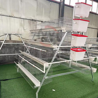 Cage à poules pondeuses pour l'Afrique, type 3000, pour 3000 poules pondeuses, en batterie, galvanisée à chaud, en promotion pour l'élevage de poules pondeuses