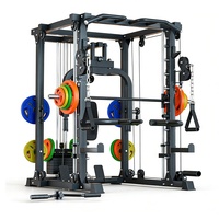 Appareil d'entraînement complet pour petits oiseaux, machine à crosstraining, entraîneur fonctionnel, rack à squats tout-en-un avec poulie double réglable