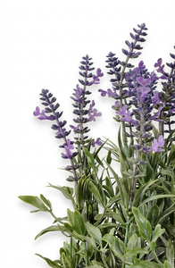 造花 プラスチック ラベンダー 植物 テーブル用 本物そっくり フェイク ラベンダー 鉢植え 装飾 結婚式 ホーム ガーデン 卒業式 - Product Image 2