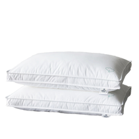 Oreiller d'hôtel en peluche à maintien optimal, facile d'entretien, avec deux options de fermeté et certifications de sécurité pour un sommeil réparateur