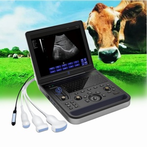 Ecógrafo <span class=keywords><strong>Doppler</strong></span> Portátil Veterinario de 15 Pulgadas con Doble Sonda USB para Uso Médico, con Certificación CE - Product Image 1