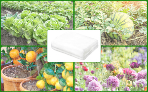 Rete Anti-Insetti <span class=keywords><strong>Fai</strong></span>-<span class=keywords><strong>da</strong></span>-<span class=keywords><strong>Te</strong></span> <span class=keywords><strong>per</strong></span> Finestre e Giardini, Protezione Agricola Contro Insetti e Zanzare - Product Image 6