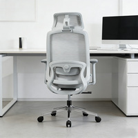 Chaise de bureau ergonomique moderne de haute qualité avec coussin lombaire en mousse à mémoire de forme 2D