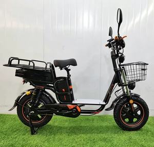 Bicicletas Eléctricas de Carga Rusas de 16 Pulgadas, Más Vendidas, <span class=keywords><strong>con</strong></span> Doble Batería, Equipadas <span class=keywords><strong>con</strong></span> <span class=keywords><strong>Dos</strong></span> Conjuntos de Baterías de Litio de 48V 20Ah - Product Image 4