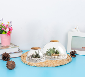 Großhandel kunden spezifische kuppel förmige Glaster rarium häuser Miniatur-Ökosysteme Pflanzer Vase Glaster rarium mit Holzdeckel - Product Image 2