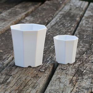 <span class=keywords><strong>Maceta</strong></span> de plástico octogonal pequeña blanca, <span class=keywords><strong>maceta</strong></span> de piedra carnosa transpirable gruesa, nuevo diseño para el cultivo de flores y plantas - Product Image 5