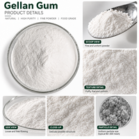 Gomme Gellan de qualité alimentaire à faible et haute teneur en acyl, 99 % pure, en poudre blanche, épaississants, fournie directement par l'usine