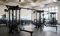 Équipement de fitness professionnel de type avancé ROSEN, équipement de musculation commercial, plateforme multi-gym Smith, plateforme jungle 5 stations pour salle de sport