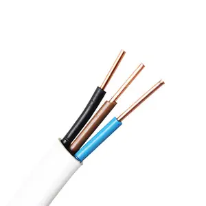 Flat PVC Cable Flexible or Solid Copper Core 2Core 3Core 0.5mm 0.75mm2 1.5mm2 Pure Copper Building Wire