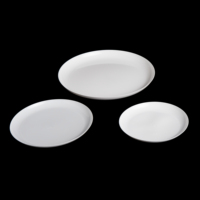 Assiettes rondes blanches pour le camping en plein air, les fêtes, les pique-niques, réutilisables, légères, pour les collations et les repas