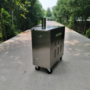 Máquina de Lavado de Autos a Vapor Móvil para Talleres de Lavado de Autos, Pequeña Máquina de Limpieza Multifuncional a Gas - Product Image 4