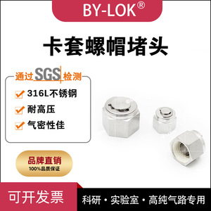 Bouchon à écrou en acier inoxydable By-Lok 316L résistant à la corrosion pour joint d'étanchéité de tuyau de laboratoire - Product Image 5