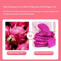Vriesgedroogde Dragon Fruit Yunnan Groothandel Fabrikant Handige Snack Vriesgedroogde Fruitplakjes Van Wanrui Food