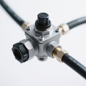 Fábrica de Origen, Procesamiento Personalizado OEM de Piezas de Automóvil de Alta Calidad |   Regulador de Presión de Combustible de Tipo Mecánico y Electrónico - Product Image 5